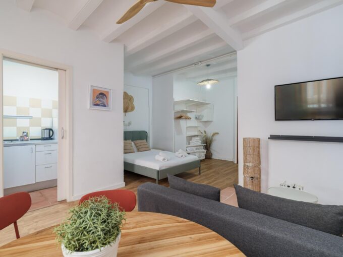 venta estudio con licencia turistica en Barcelona Poble Sec_1