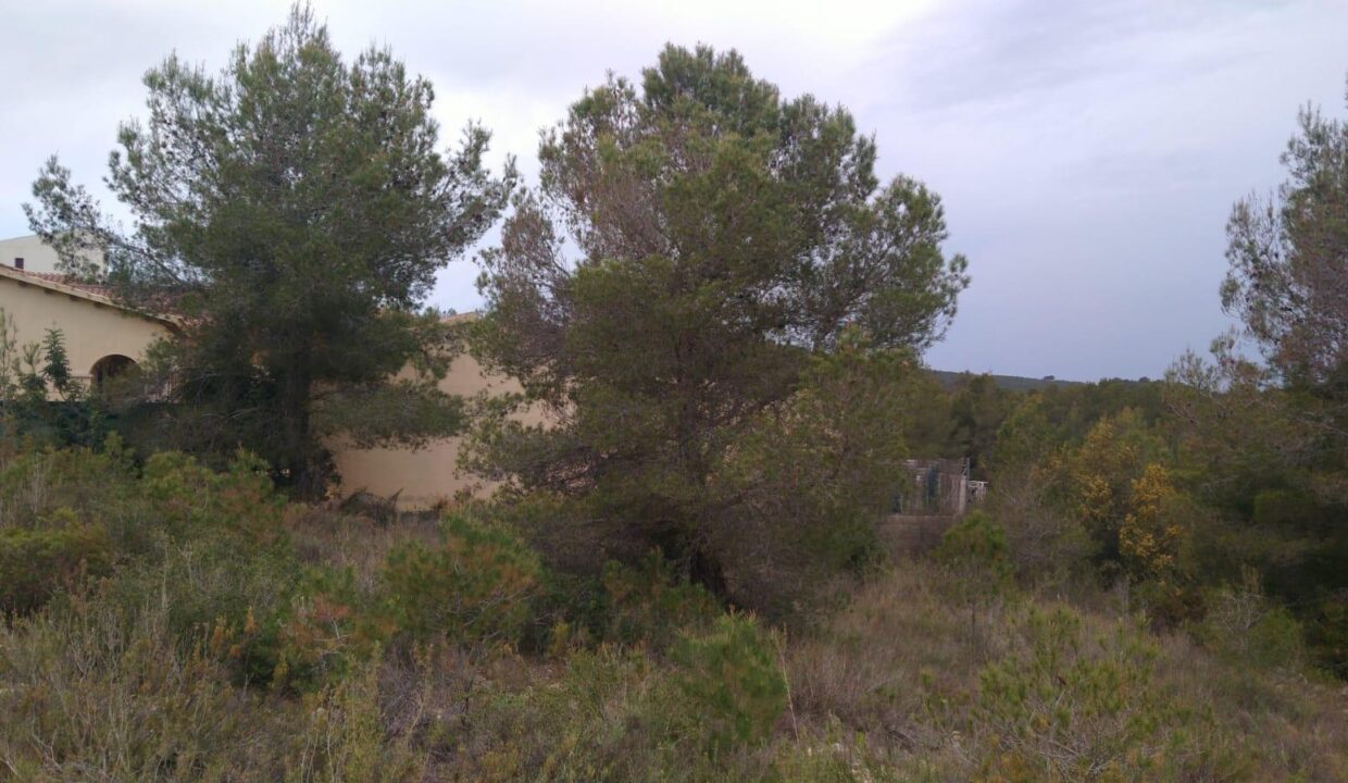 ¡OPORTUNIDAD DE TERRENO URBANO EN LA BISBAL DEL PENEDÈS!_1