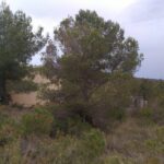 ¡OPORTUNIDAD DE TERRENO URBANO EN LA BISBAL DEL PENEDÈS!_1