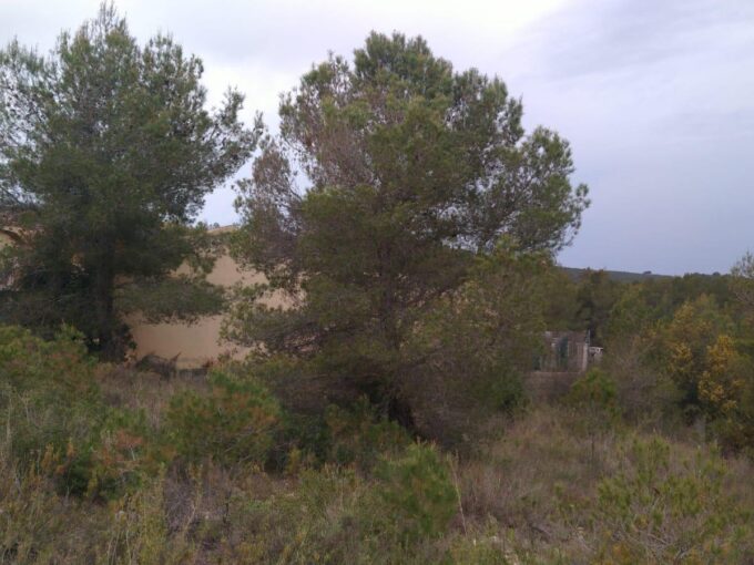 ¡OPORTUNIDAD DE TERRENO URBANO EN LA BISBAL DEL PENEDÈS!_1