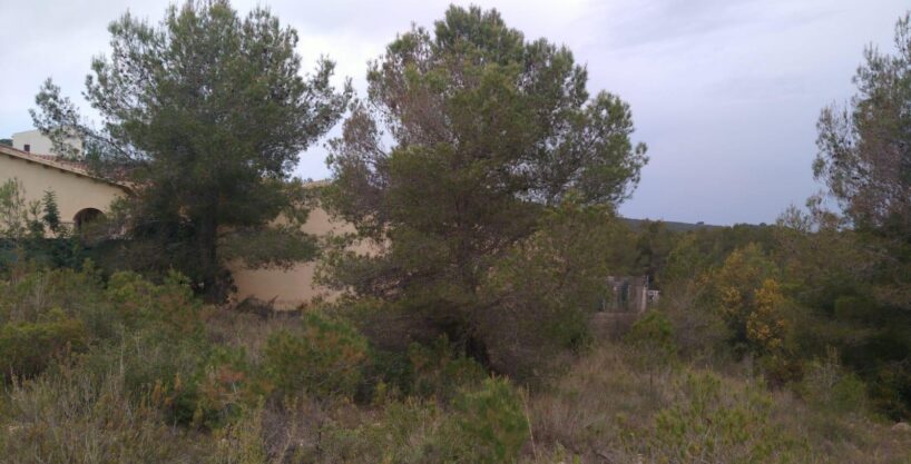 ¡OPORTUNIDAD DE TERRENO URBANO EN LA BISBAL DEL PENEDÈS!_1