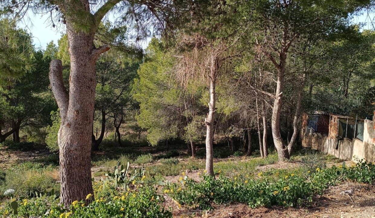 ¡¡ PARCELA EN LA BISBAL DEL PENEDÉS - URBANIZACIÓN EL PAPAGAI !!_5