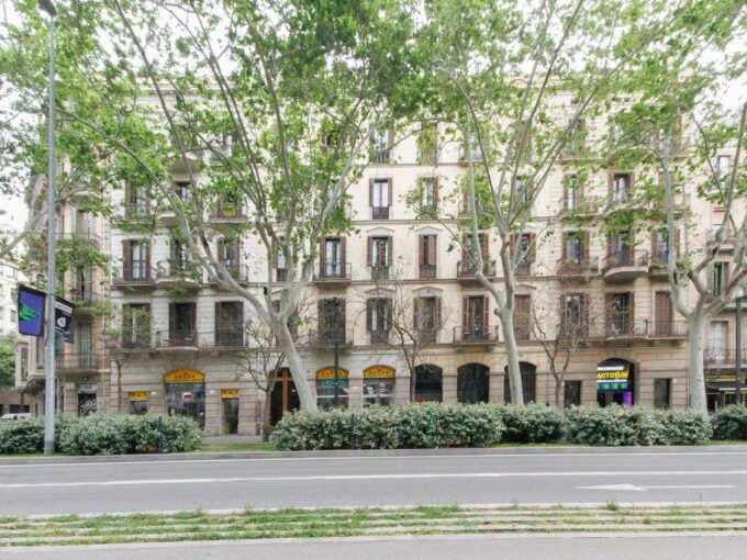 Apartamento Barcelona Eixample / Dreta Eixample Venta S199078