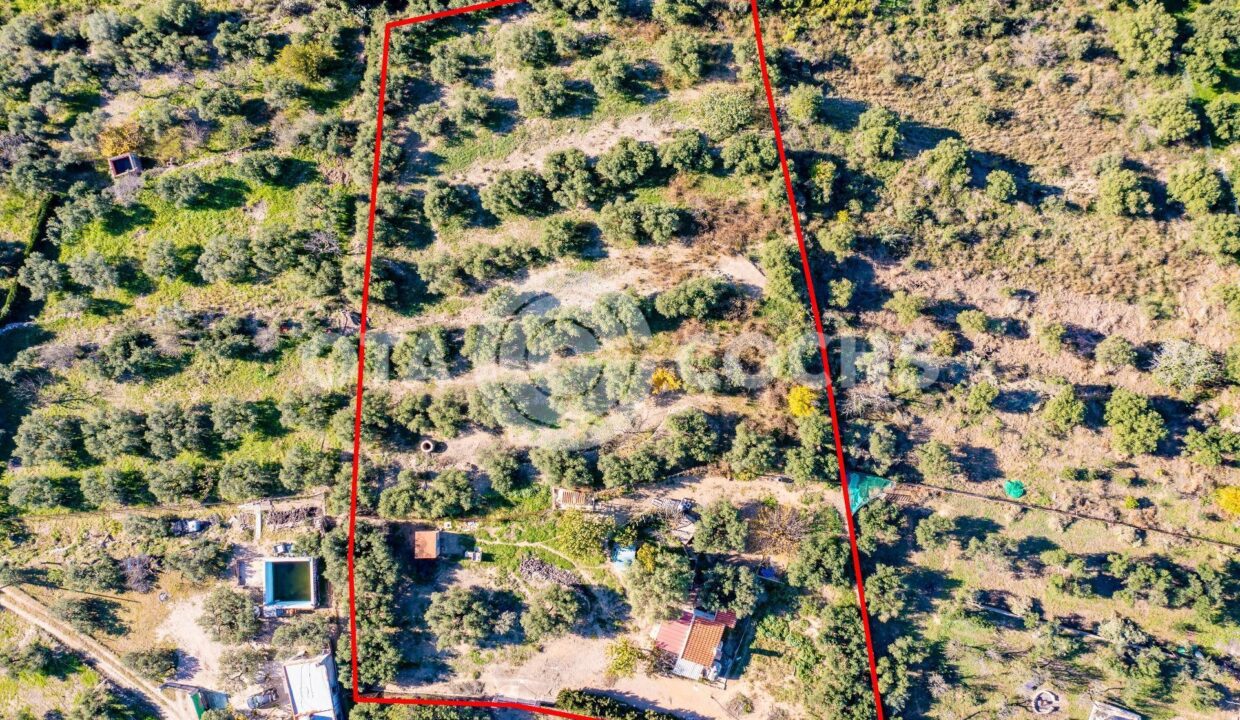 EN VENTA PEQUEÑA MASÍA CON TERRENO EN REUS_2