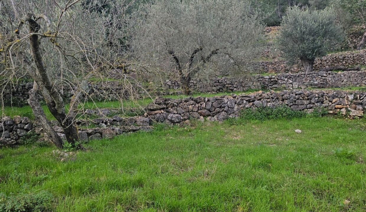 FINCA RÚSTICA EN ALCANAR_2