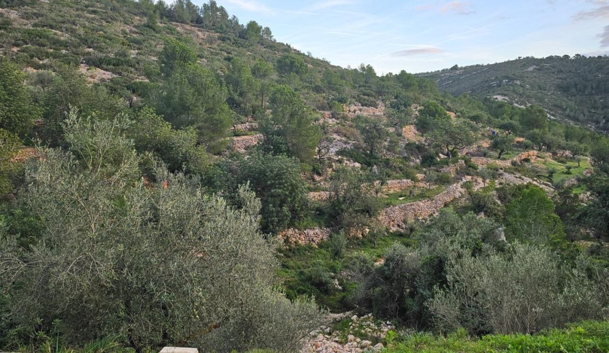 FINCA RÚSTICA EN ALCANAR_4