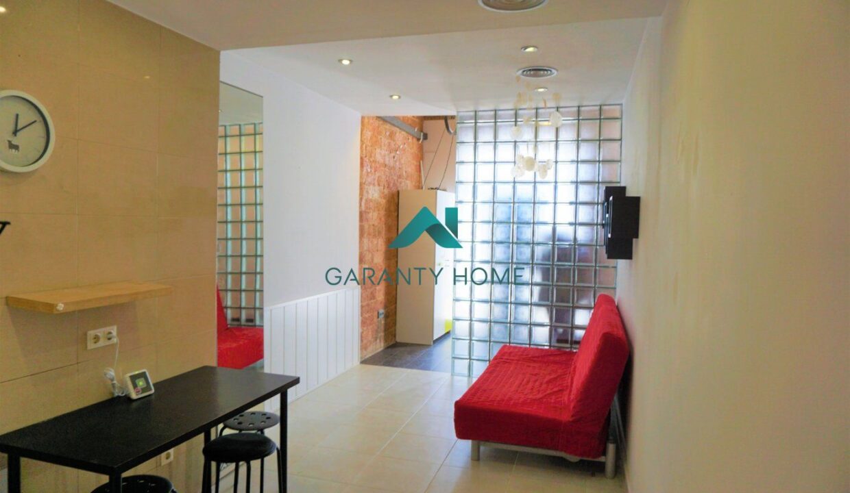 Fantastico piso con 50 m2 de patio_2