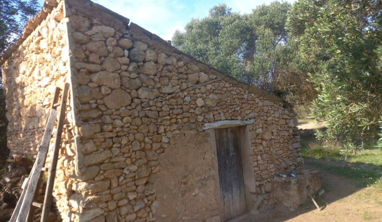 OCASIOIN FINCA RUSTICA PLANTADA DE OLIVOS EN MORA D´EBRE_1