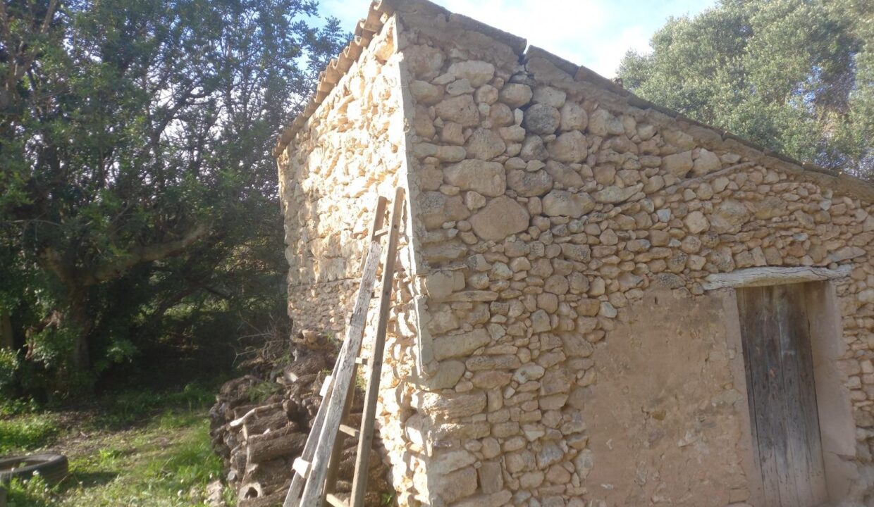 OCASIOIN FINCA RUSTICA PLANTADA DE OLIVOS EN MORA D´EBRE_5