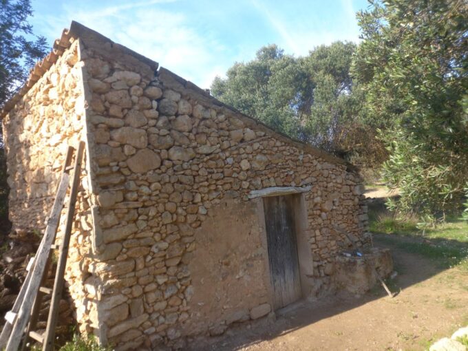 OCASIOIN FINCA RUSTICA PLANTADA DE OLIVOS EN MORA D´EBRE_1