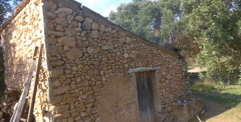 OCASIOIN FINCA RUSTICA PLANTADA DE OLIVOS EN MORA D´EBRE_1