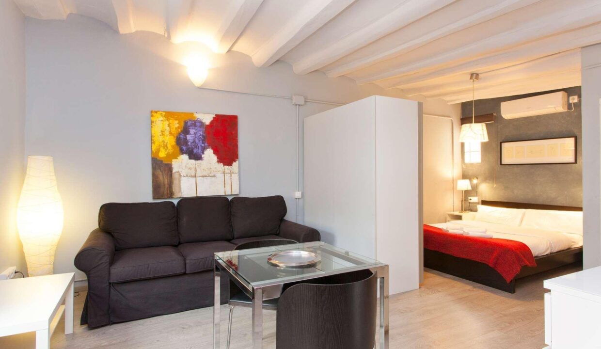 Piso Barcelona Ciutat Vella / Barri Gòtic Venta CS-B13257_8