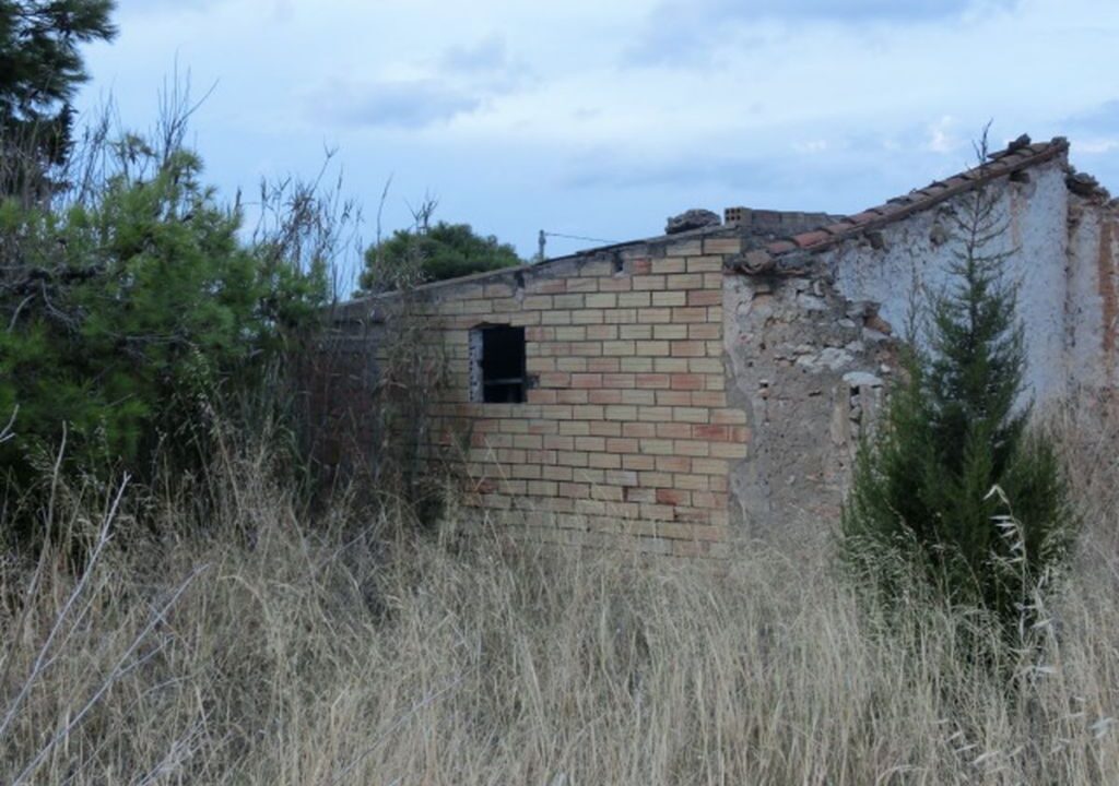 Finca rústica de regadio con caseta._2