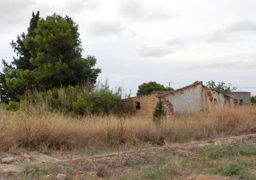 Finca rústica de regadio con caseta._1