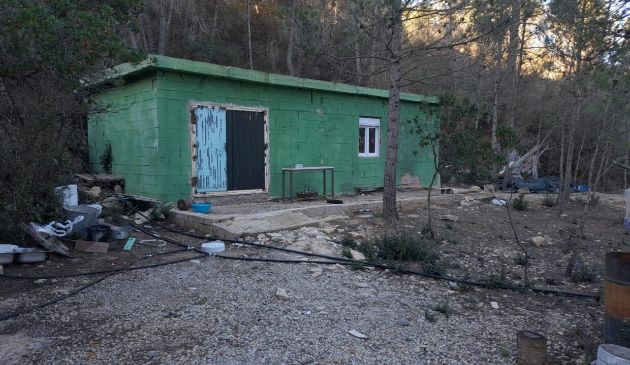 OPORTUNIDD FINCA RUSTICA DE REGA IO EN CORBERA D´EBRE CON VARIAS CONSTRUCCIONES_3