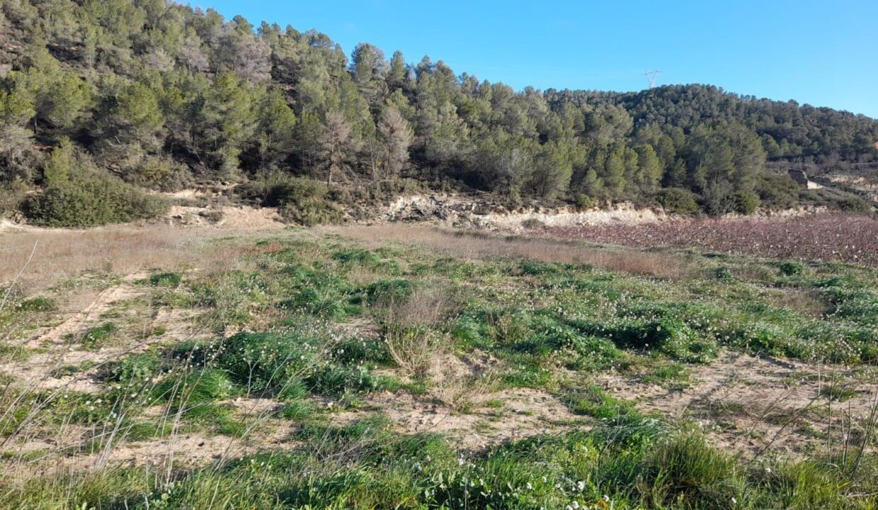 OPORTUNIDD FINCA RUSTICA DE REGA IO EN CORBERA D´EBRE CON VARIAS CONSTRUCCIONES_4