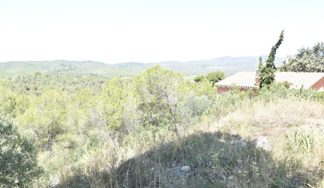 PARCELA  URBANA EN LA BISBAL DEL PENEDES_1